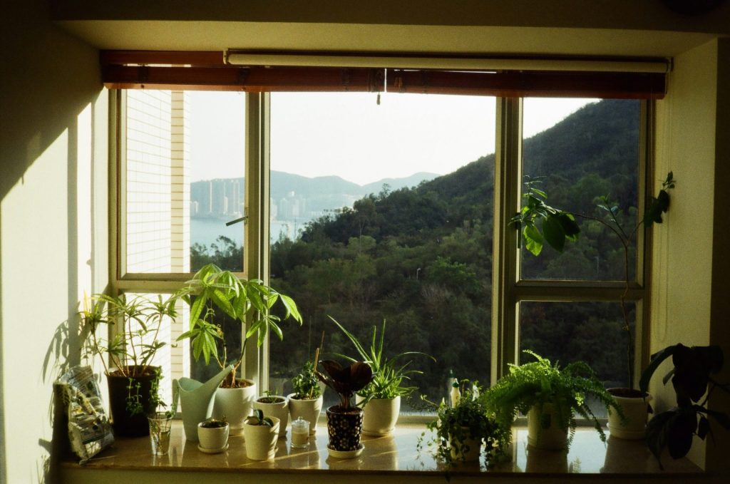 ein Fenster mit Blick auf die Berge draußen
